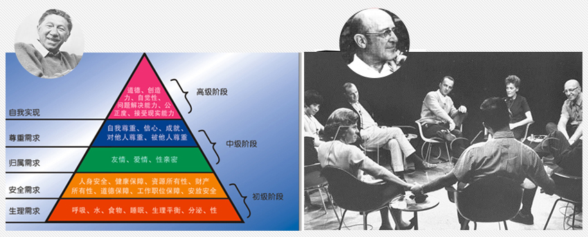 「狗狗百科全书」上线，让你全面了解狗狗！播报文章