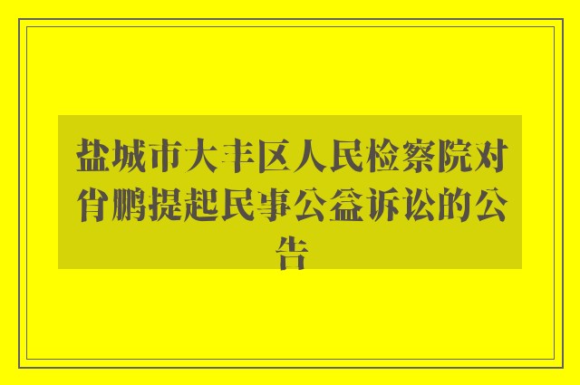 盐城市大丰区人民检察院对肖鹏提起民事公益诉讼的公告