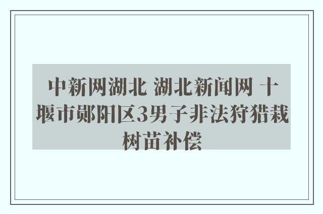 中新网湖北 湖北新闻网 十堰市郧阳区3男子非法狩猎栽树苗补偿