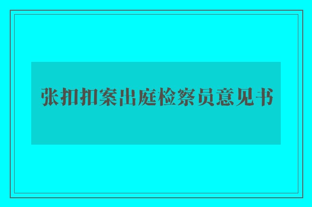 张扣扣案出庭检察员意见书